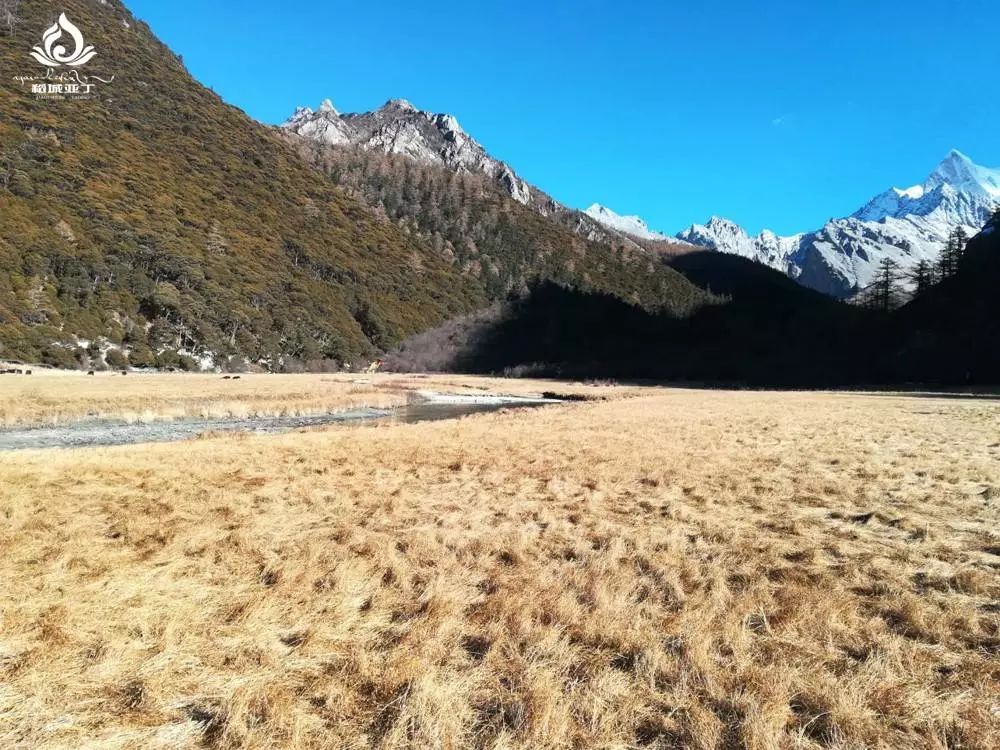 四月末去稻城亚丁怎么样,四月去了心心念念的稻城