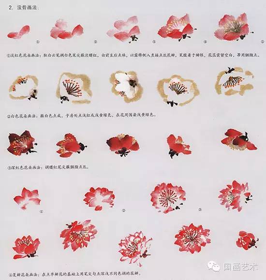 桃花的步骤画法，春天桃花盛开手把手教你画。