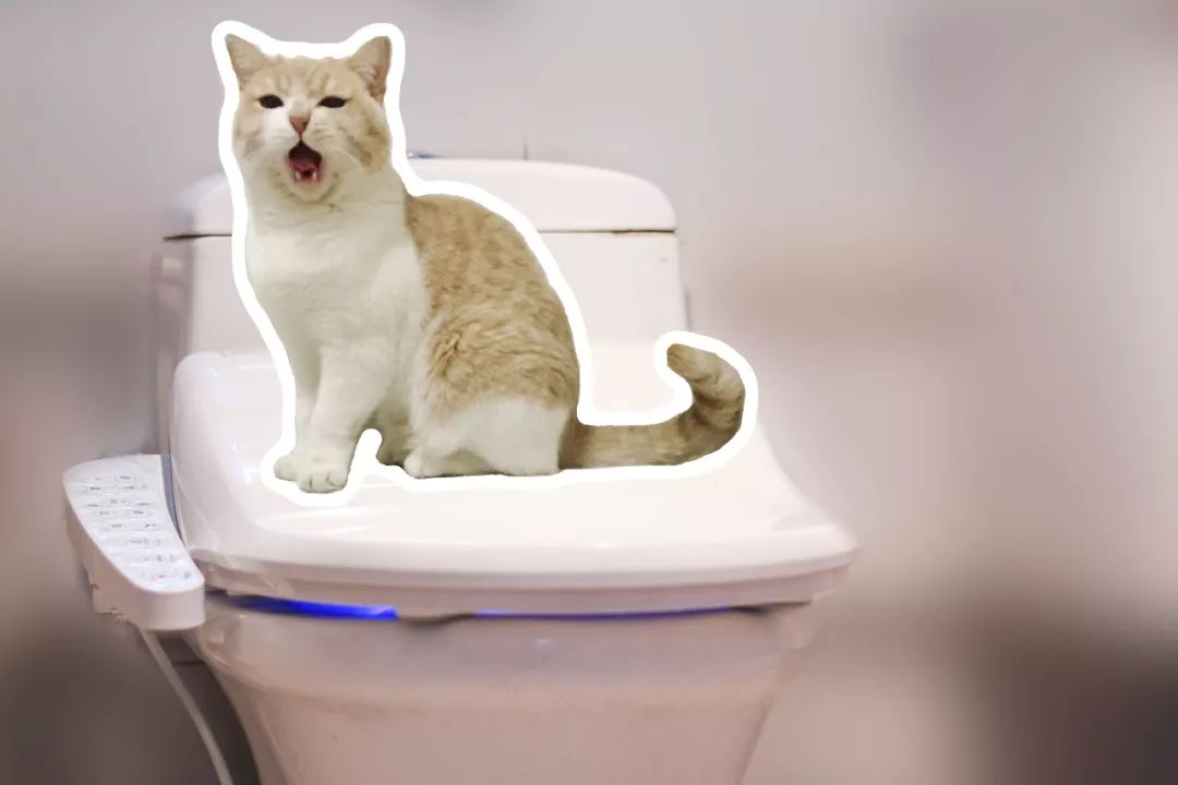 网易丁磊和网易严选,丁磊严选视频