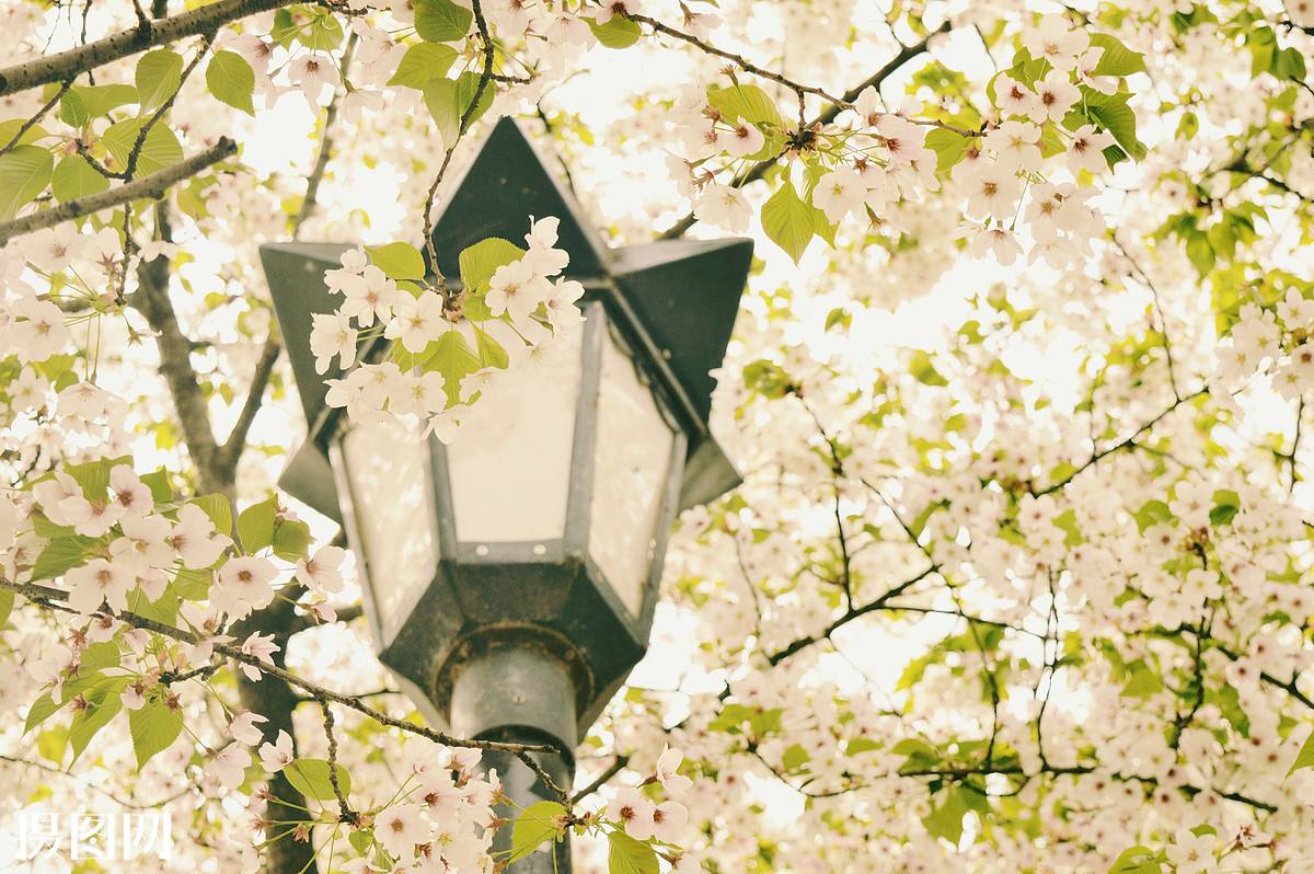 历史上的四月有何重大事件,历史上的四月一日发生了什么