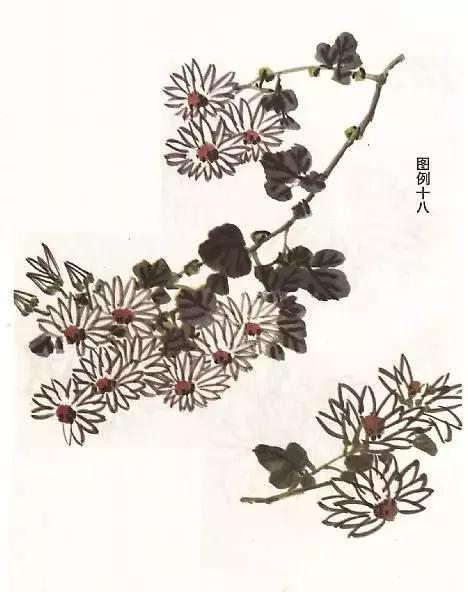 国画基础画菊花该如何构图才好看,国画菊花怎么画简单画法