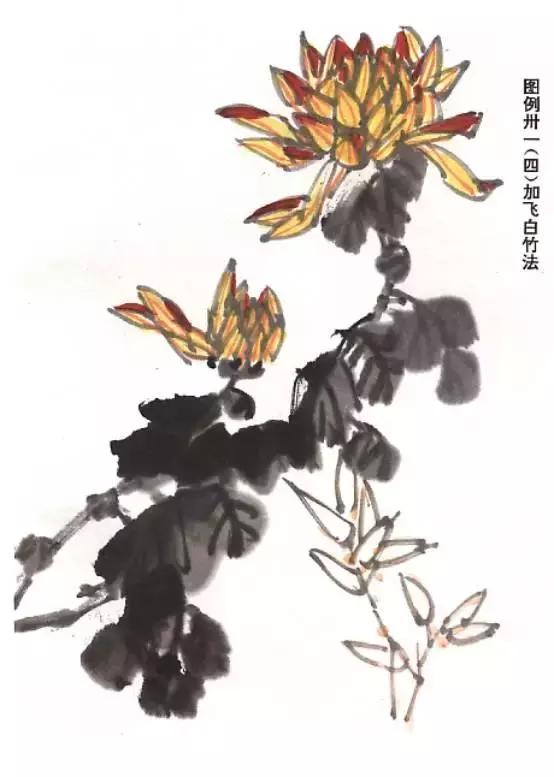 国画基础画菊花该如何构图才好看,国画菊花怎么画简单画法
