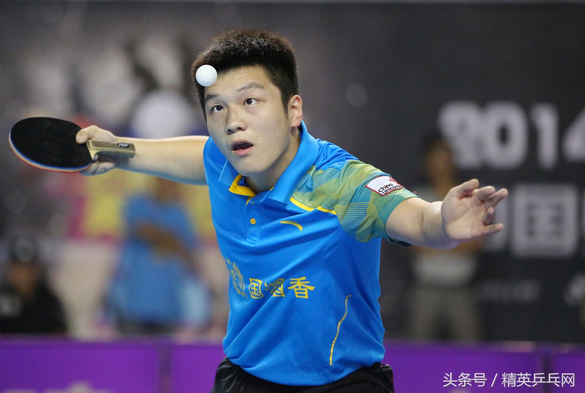 中高端乒乓球底板推荐,精英乒乓网底板推荐