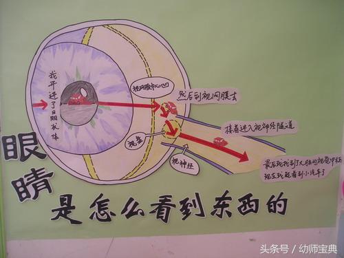 幼儿园眼睛里的世界主题墙,班级爱护眼睛主题墙布置