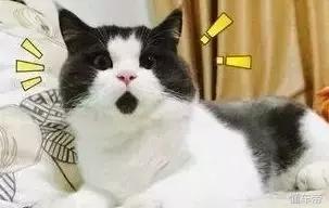 安全带保养方法图解,安全带要系到牢固