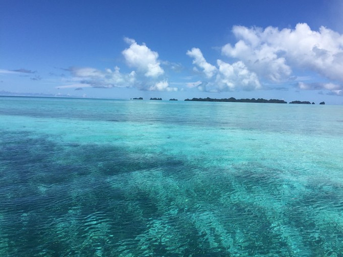 离开喧嚣的城市去野外生活三年,逃离都市喧嚣回归心灵栖居地