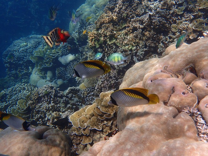 离开喧嚣的城市去野外生活三年,逃离都市喧嚣回归心灵栖居地