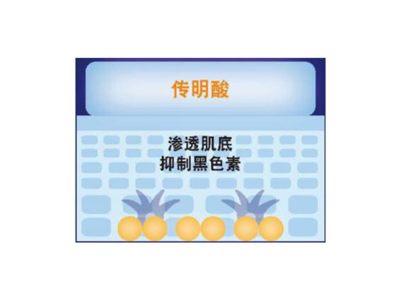 曼秀雷敦肌研白润洁面乳怎么样,曼秀雷敦的肌研白润护肤品怎么样