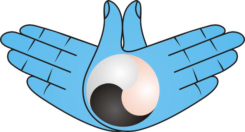 几代人的足球梦,足球小将见证日本足球的崛起