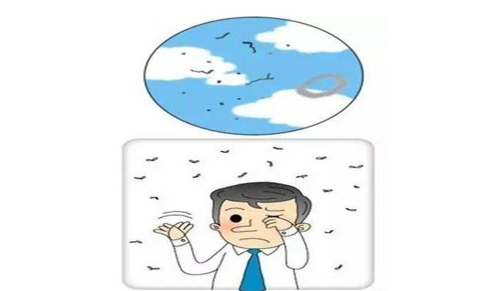 眼科飞蚊症的治疗方法,中医眼科飞蚊症的治疗