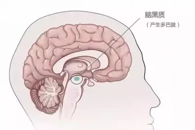 帕金森病不一定手抖,帕金森不止手抖这么简单一文自测