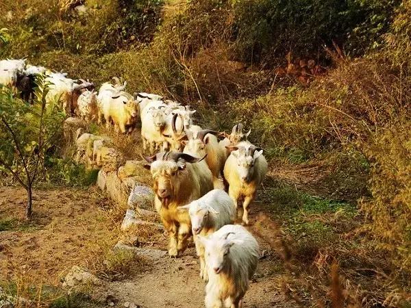 密云名胜的来历,密云神秘景观