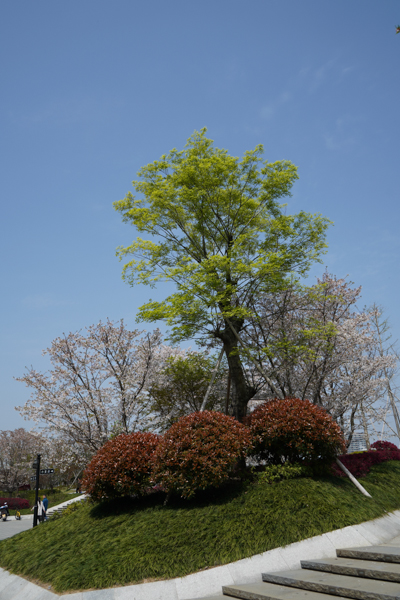 一个佳能*党**眼中的索尼A7M3,ILCE-7M3，索尼新款相机入手小评