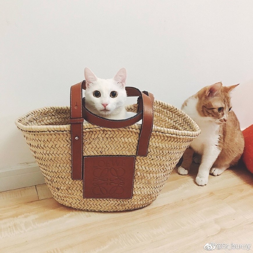 celine草编包颜色有哪些,celine包袋子能配到吗