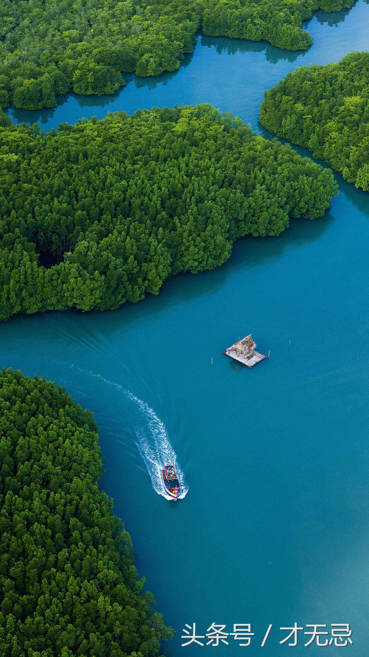 生理性焦虑原因,生理性恐惧怎么克服