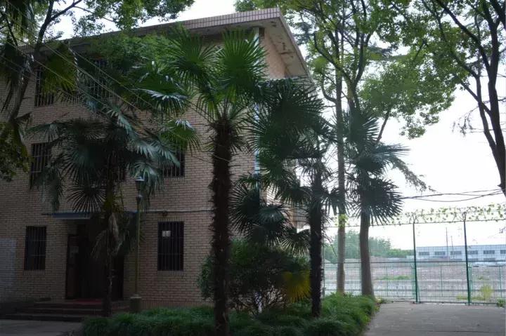 戒毒要多久才能彻底戒掉,戒毒半个月后是否能全面戒掉