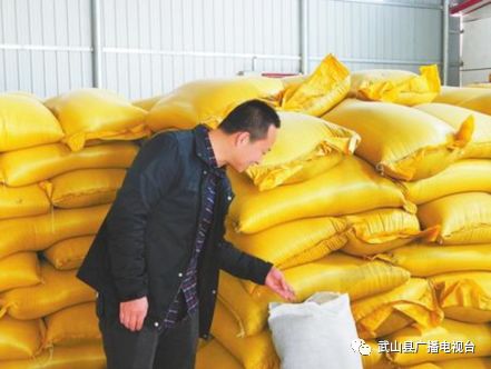 三个电商老兵的创业故事,90后农村小伙的电商创业梦