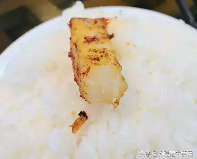 四川成县陈氏香鹅掌,四川成县香鹅掌