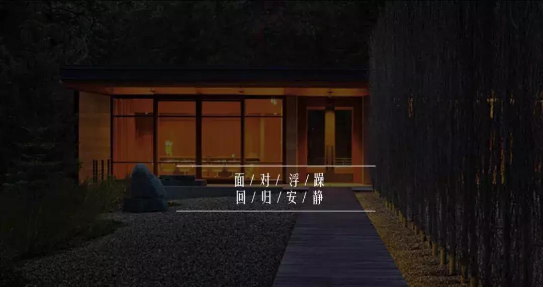 大学女教师辞职出道,大学女教师辞职