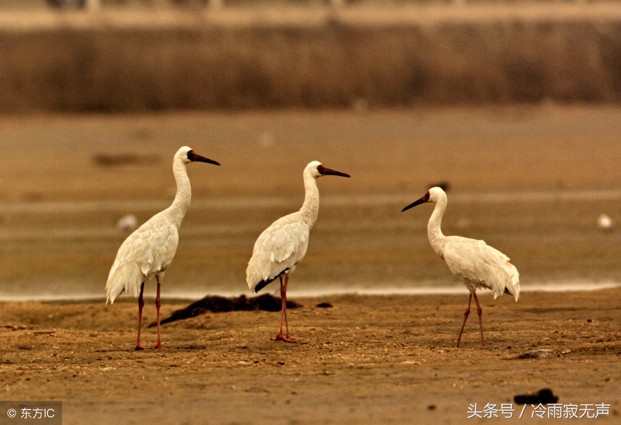 秦皇岛最详细攻略,秦皇岛攻略最全
