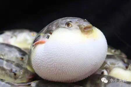 春江水暖鸭先知节气,春江水暖鸭先知是哪个季节