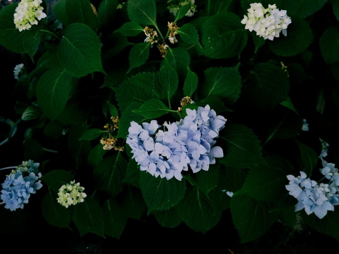 涔濇邯鐙竴鏃犱簩,涔濇邯娓哥帺鎰熸偀