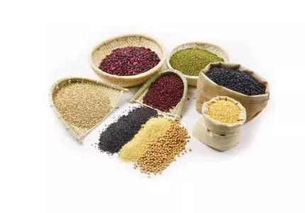 营养师讲婴幼儿营养,营养师的100个健康指导