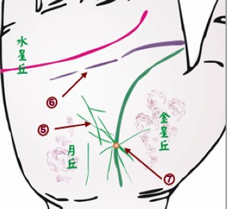 疾病与面相,面相看病人生死之秘诀