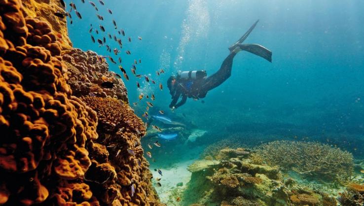 被潜水爱好者誉为10个全球最迷人的潜水天堂，大饱你眼福