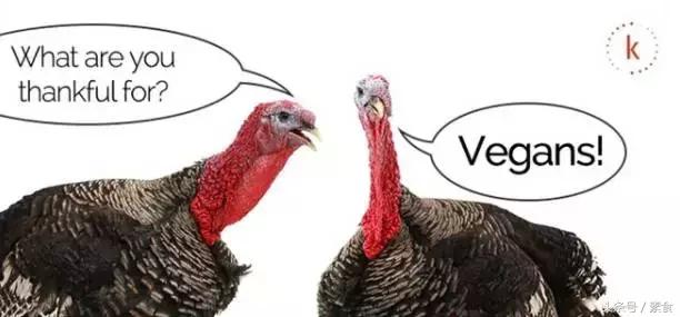 水果蔬菜汁治好癌症的真实案例,大量果蔬汁治愈癌症