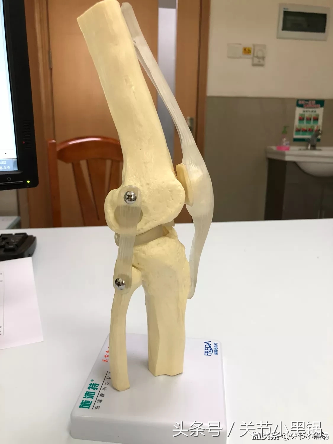 关节软骨的营养,关节处的软骨怎么补充营养