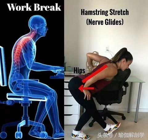 最新疼痛理疗视频,修复理疗瑜伽体式