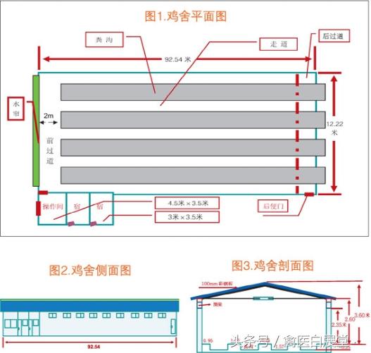 四川鸡场鸡舍怎么搭建最好图片,鸡舍建造全过程详解