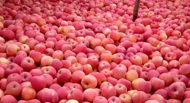 石家庄国家商标注册官网,石家庄商标类别推荐哪家