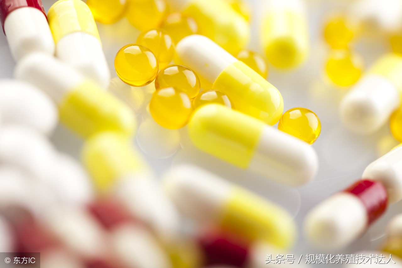 母猪在35天左右流产是什么原因,母猪两个月流产的原因