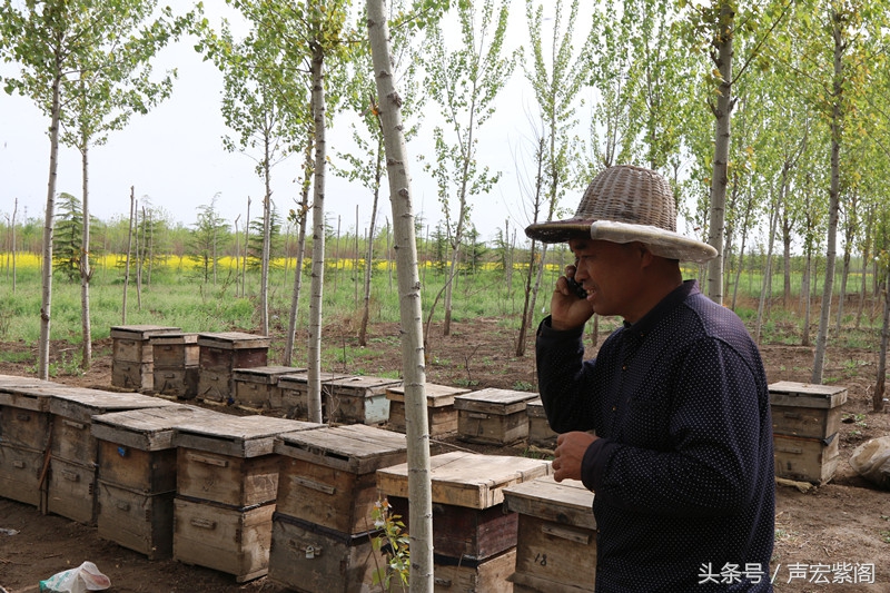河北石家庄赵县武建波父子两代养蜂，赶花夺蜜一年难得回趟家