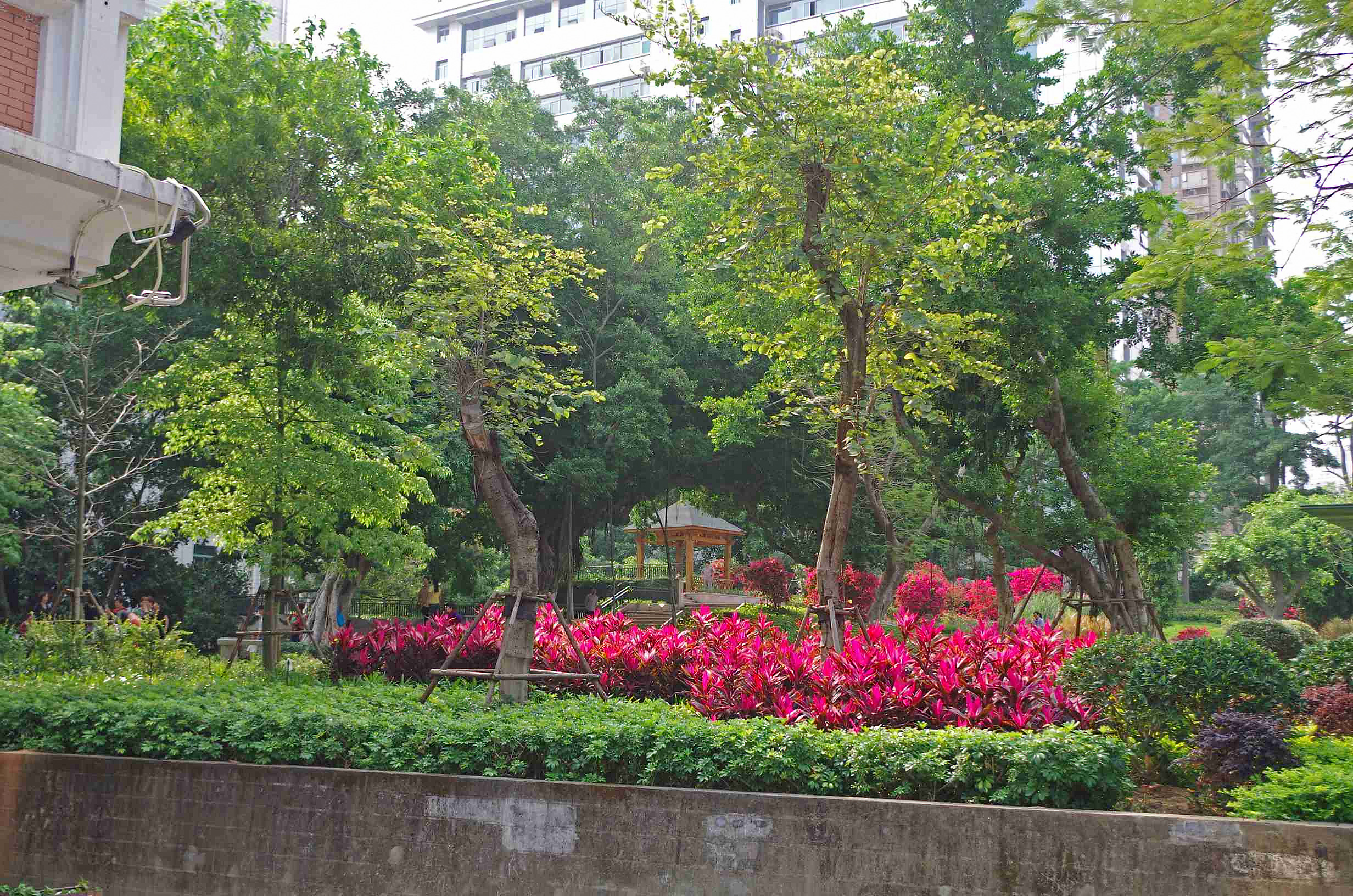 宾得k30图片,宾得k30样片