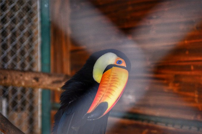 爱旅行爱生活之海南三亚蜈支洲,爱旅行游记攻略