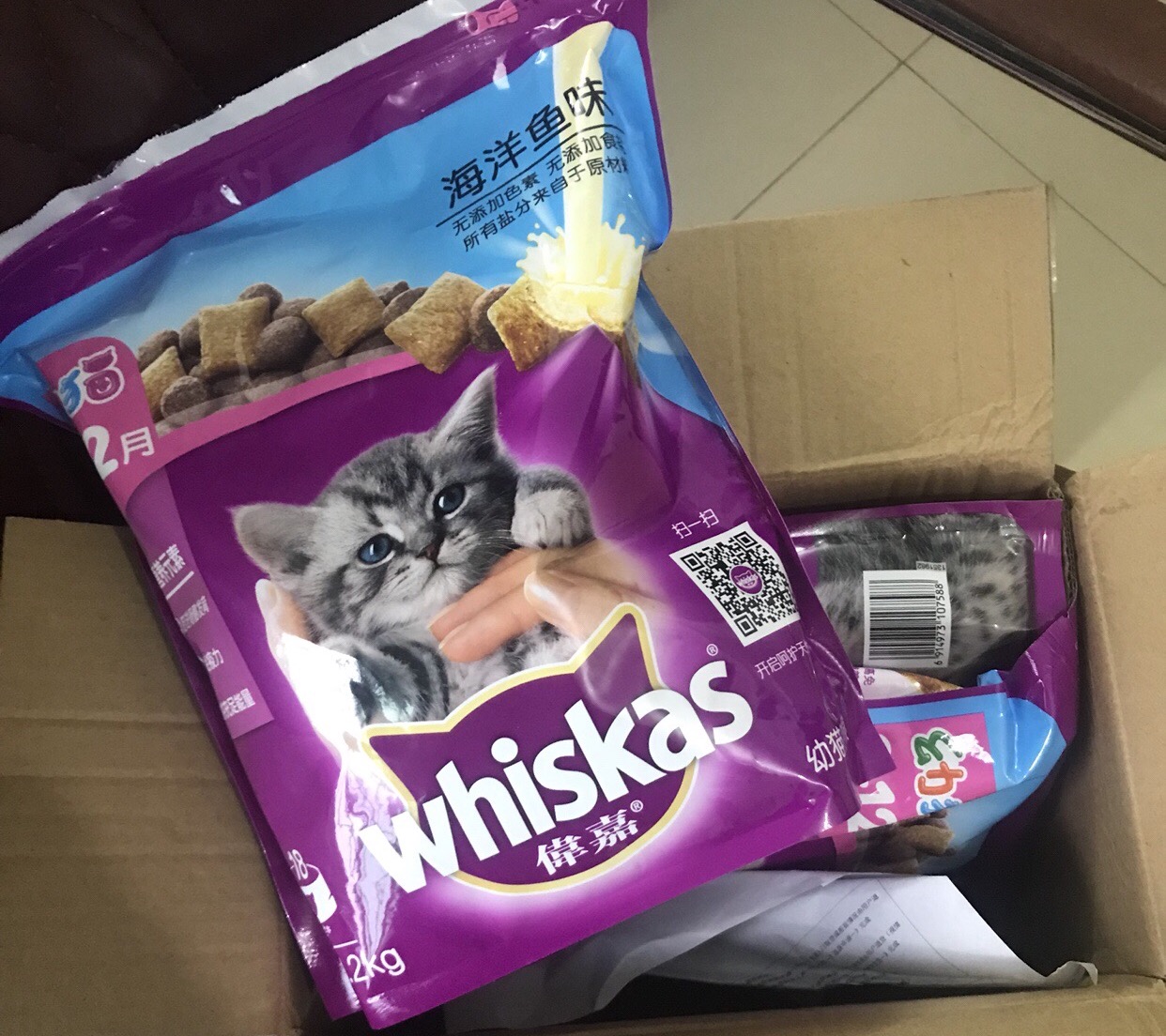 一份猫粮搞定五只小奶猫,一公斤猫粮多少钱