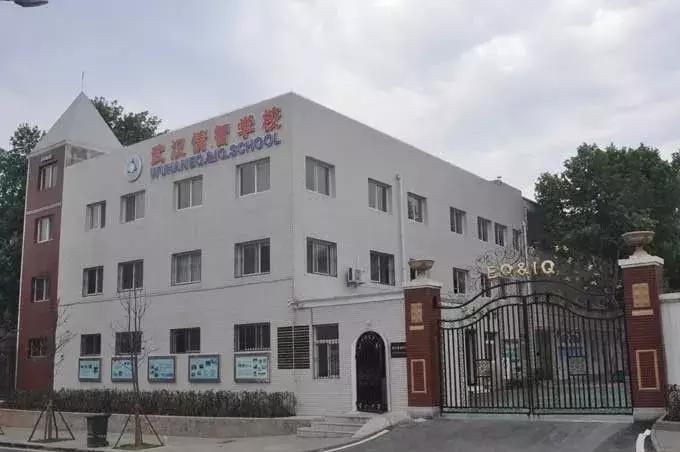 2021武汉民办高中升学率怎么样,武汉民办初中升学率排名