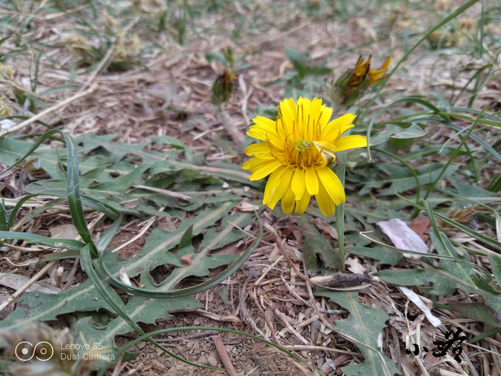 联想s5评测,联想手机s5深度评测
