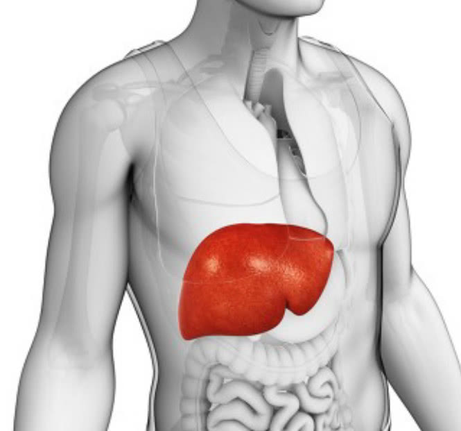 尿液发黄起泡沫可能与肝脏有关系,半夜起来尿液发黄是怎么回事