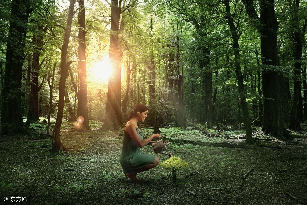 小学生必背成语500个及造句,小学语文必背成语及解析