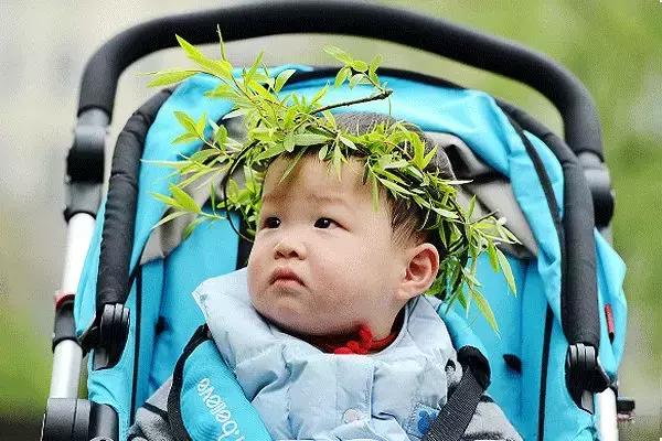 春柳，最平易近人的春色