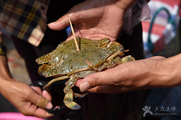 五一应季海鲜皮皮虾,又到了皮皮虾最肥美的季节