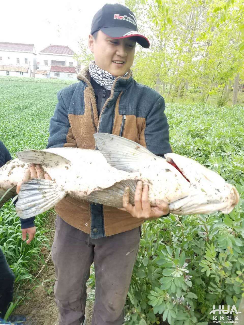 龙纹鲤休闲一代钓鱼实战,龙纹鲤休闲版水库实战中鱼瞬间