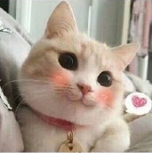 七夕节送女朋友礼物香水,谈恋爱的妹子适合什么香水