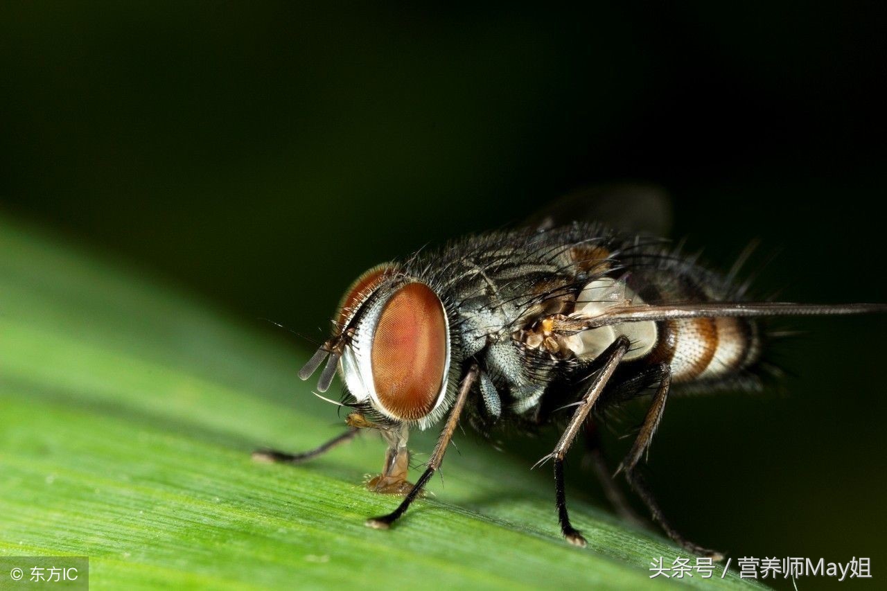 孩子老是流鼻涕怎么办最简单方法,如何护理孩子鼻子出血