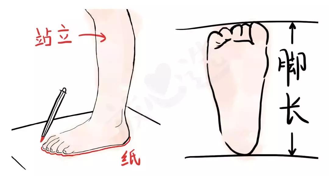 小孩机能鞋是怎么样的,怎么买到真正的儿童机能鞋