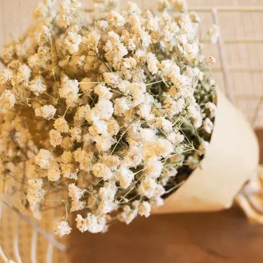 永生花制作方法视频直播,永生花插花制作方法